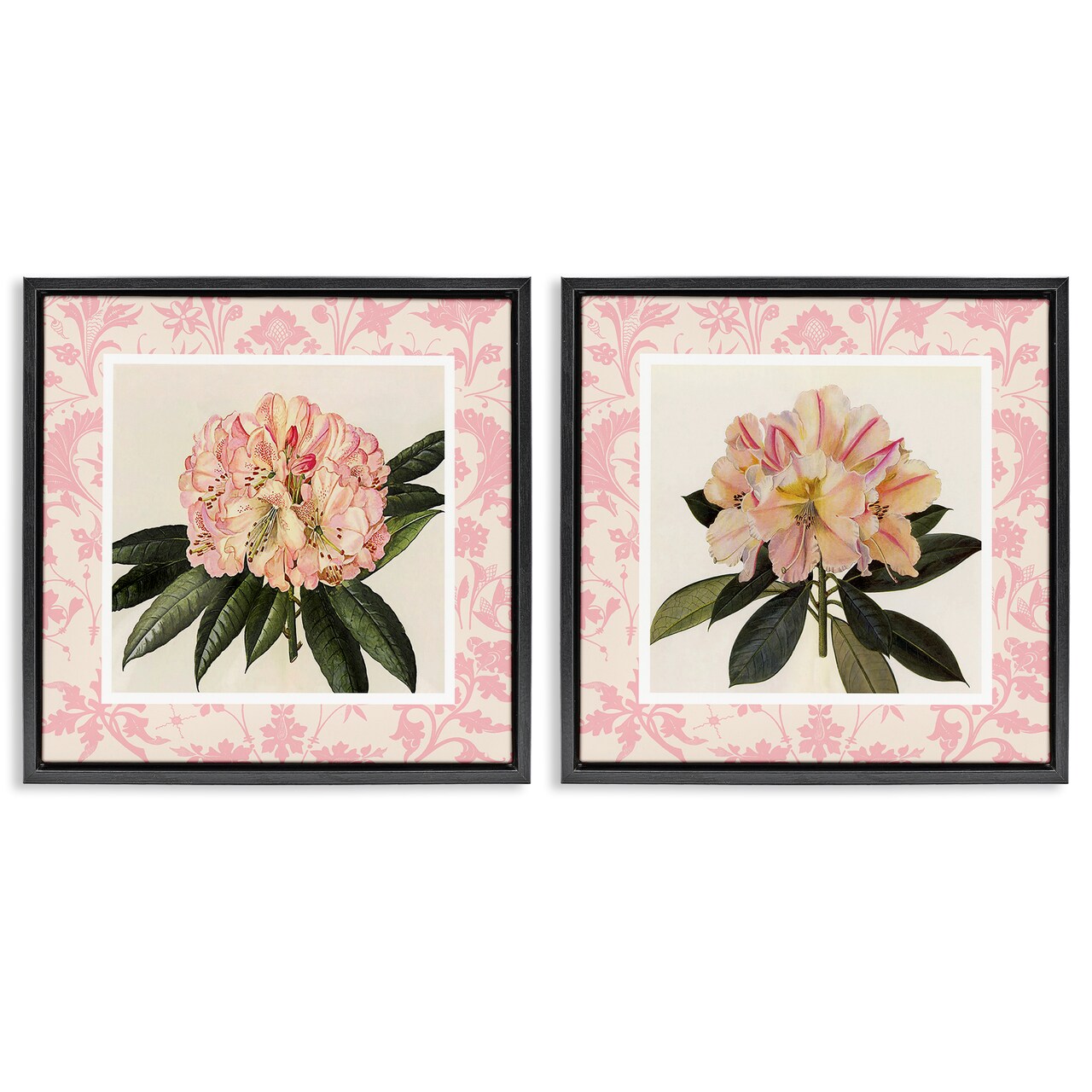 Stupell Industries Pink Vintage Pattern Botanicals 2pc Floating Frame Set, design by Livi Finn